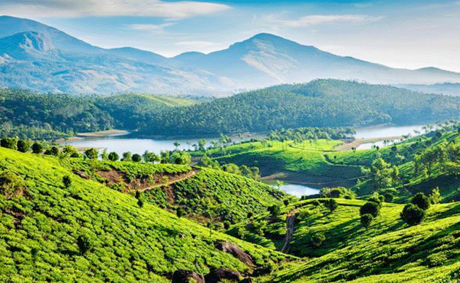 Best Tourist Place in Kerala : Munnar. अद्भुत जगह