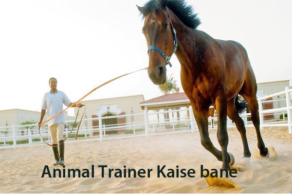 पशु प्रशिक्षक कैसे बनें | Animal Trainer Kaise Bane