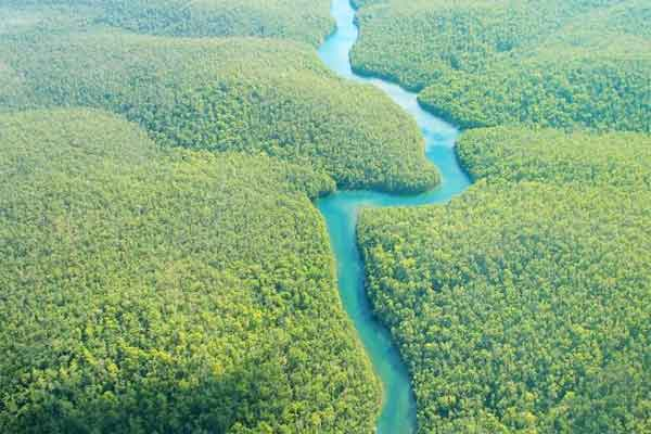 अमेज़न नदी के बारे में तथ्य | Interesting facts about Amazon river
